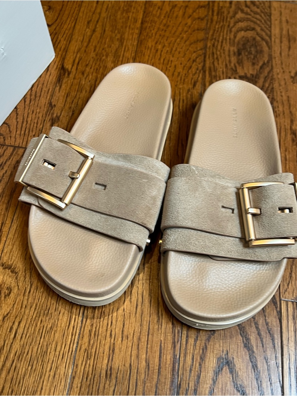 All Saints Beige Suede Buckle Slide Sandals